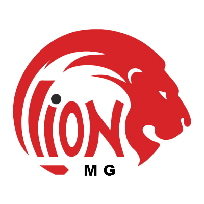 Lion Motors Group vehicle marketplace